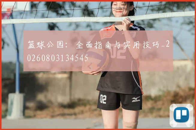 篮球公园:全面指南与实用技巧_20260803134545