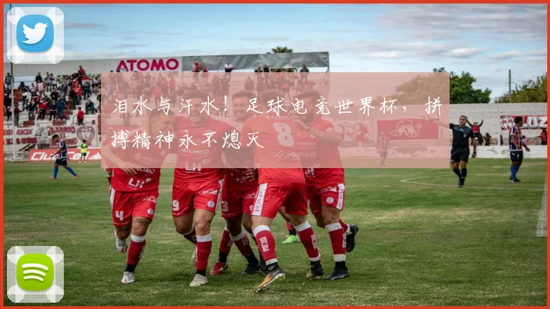 泪水与汗水！足球电竞世界杯，拼搏精神永不熄灭